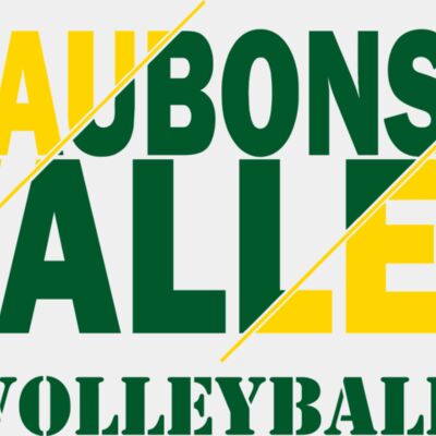 Women's Volleyball Thumbnail